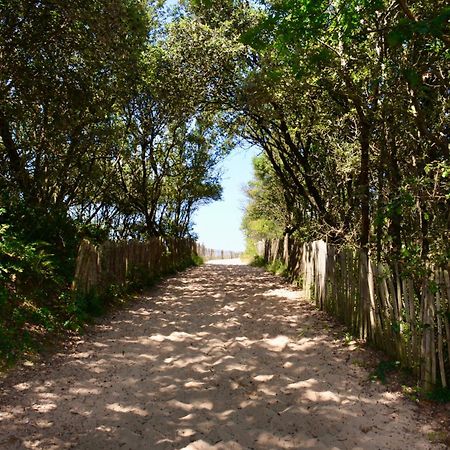 Camping Le Clos Des Pins ลุงวิลล์-ซัวร์-แมร์ ภายนอก รูปภาพ