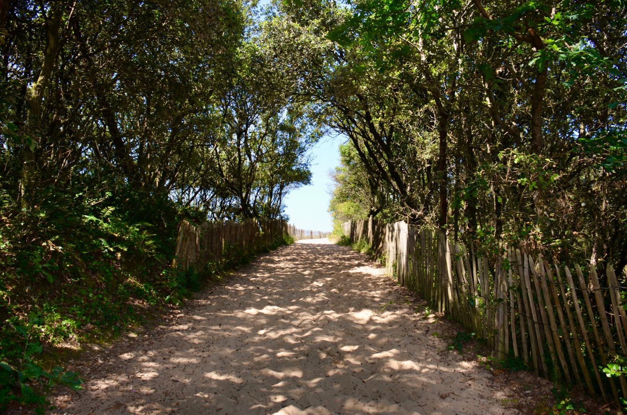 Camping Le Clos Des Pins ลุงวิลล์-ซัวร์-แมร์ ภายนอก รูปภาพ